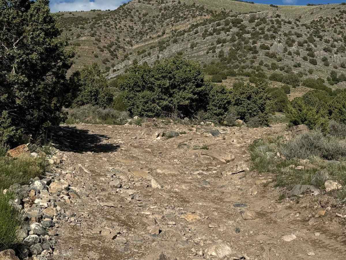Lake Mountain Trail photo 4