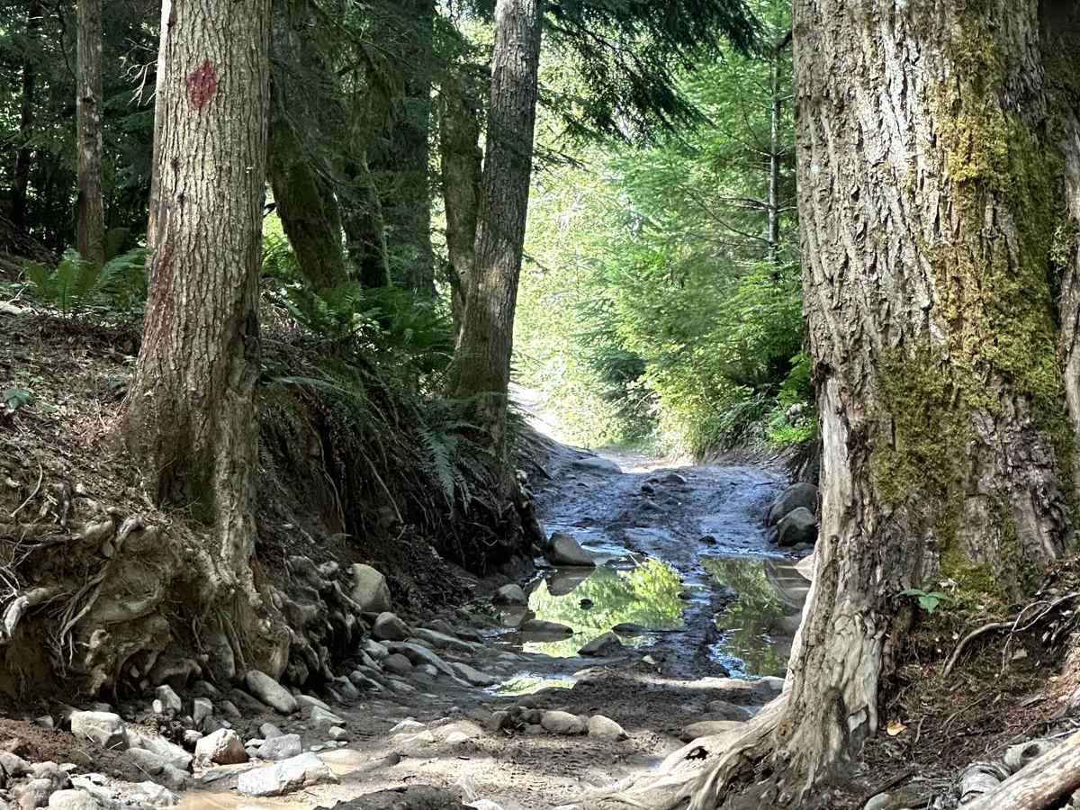 Sunrise Trail trail photo