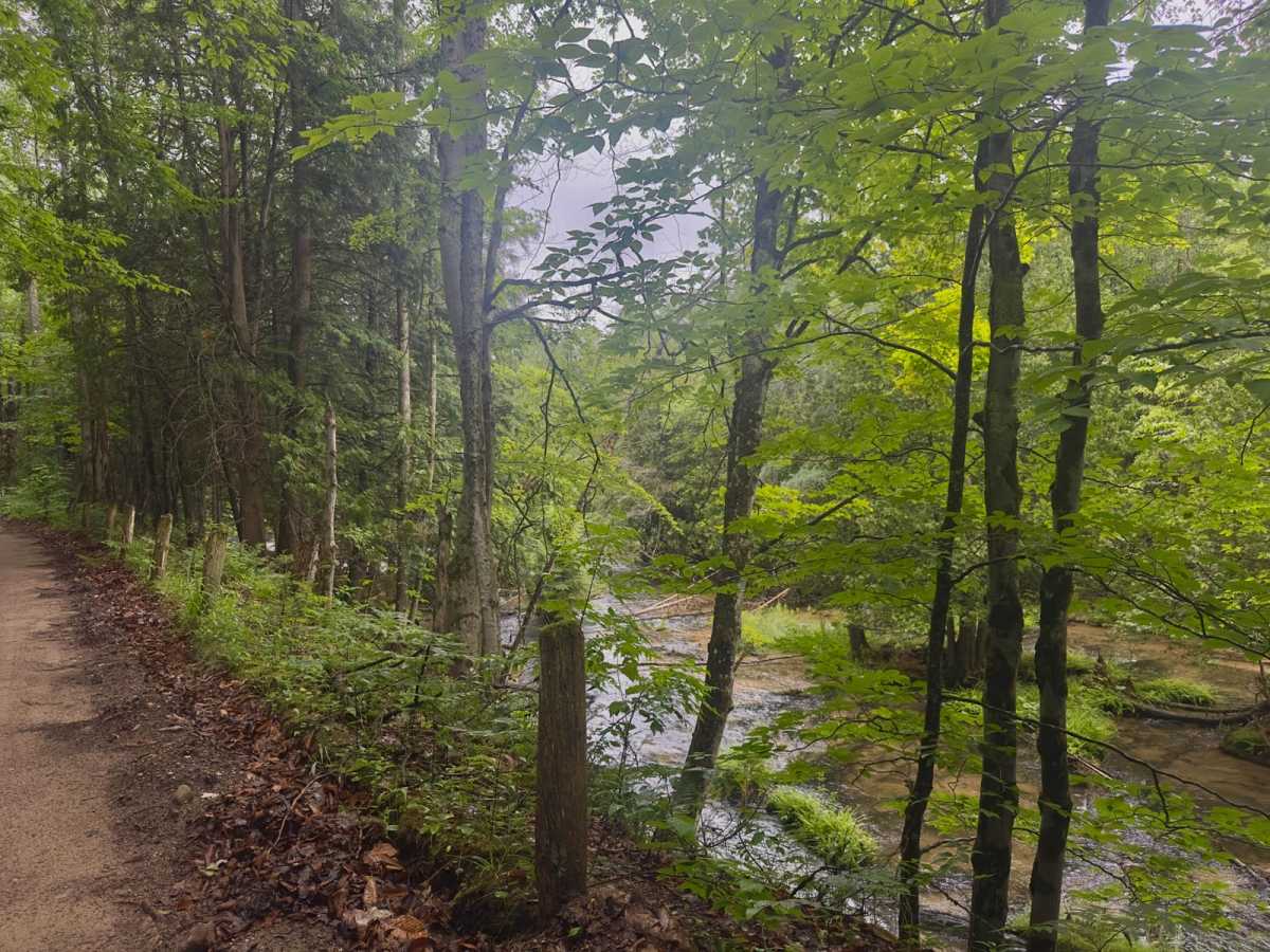Pinney Bridge Road photo 2
