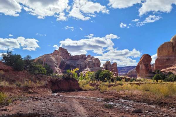 Lavender Canyon