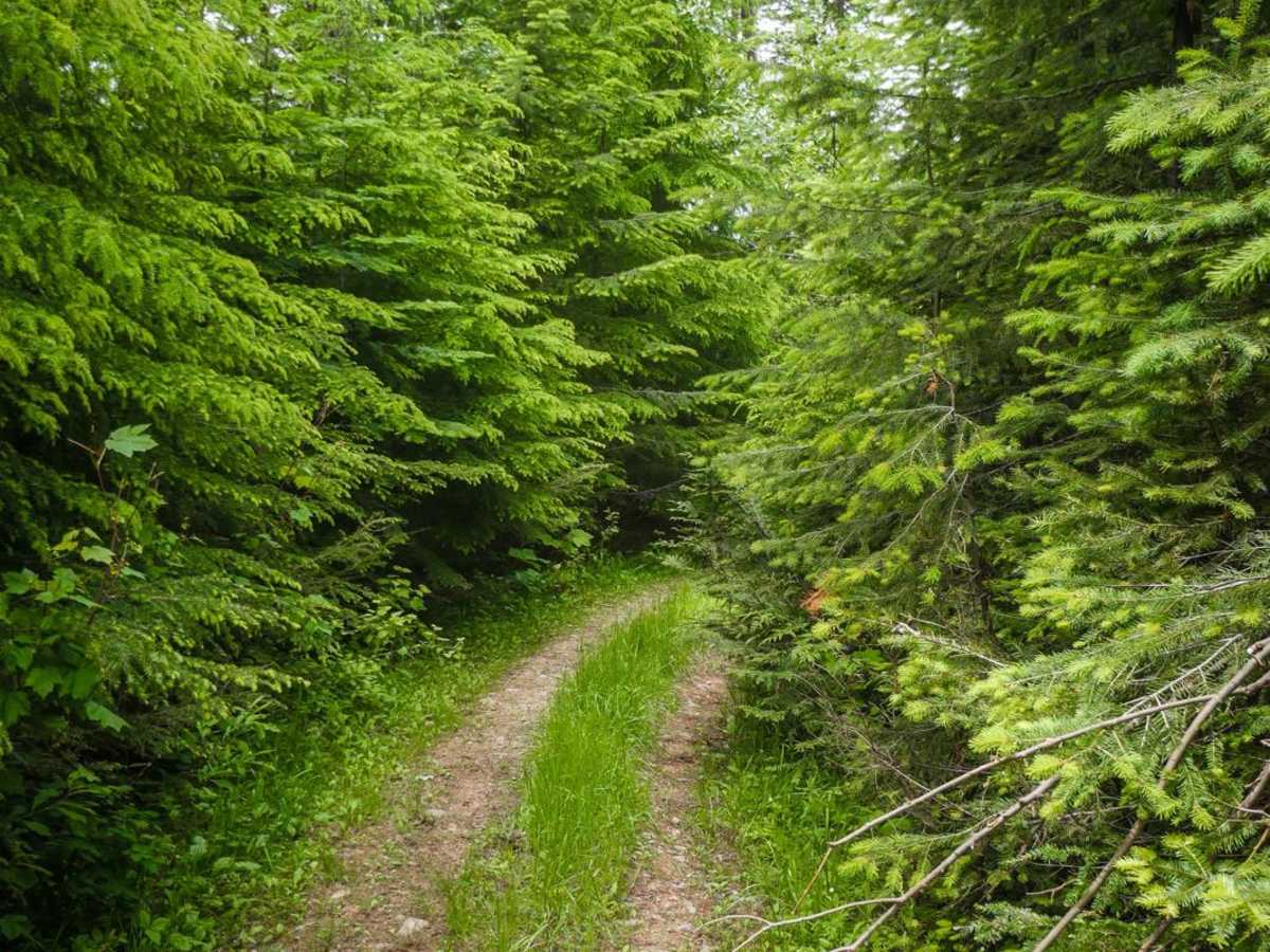 Hill 36 OHV - 3598 photo 6