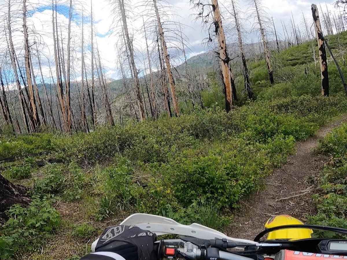 Camp Creek Trail photo 5