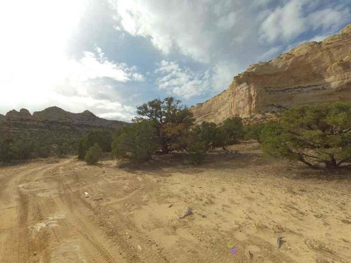 Eva Conover-BLM639 photo 5