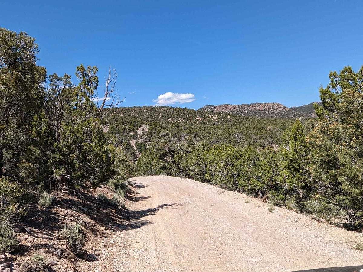 Gold Springs Road photo 6