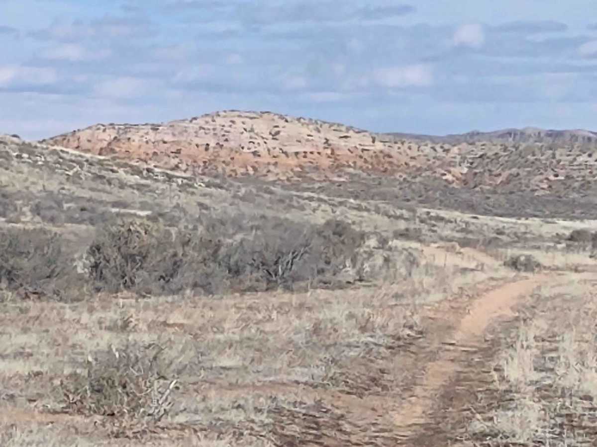 Northern Arizona High Desert (Part 2) photo 6