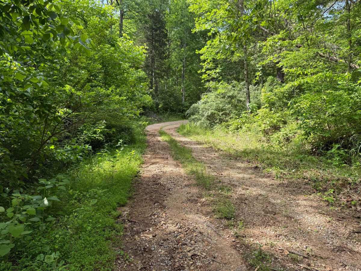 Crumely Loop trail photo