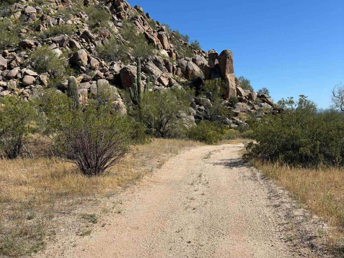 West Silverbell Mountain Loop photo 2