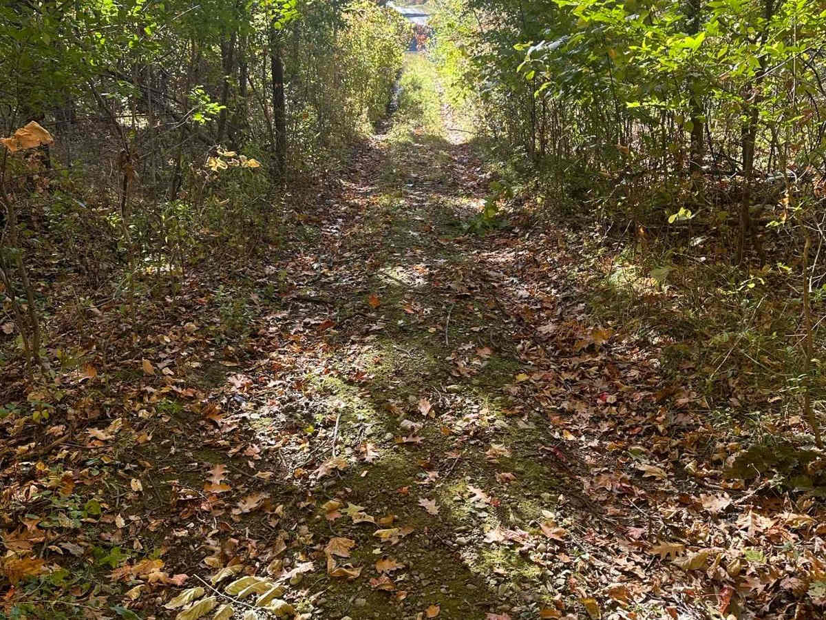 Three Hills Road photo 2