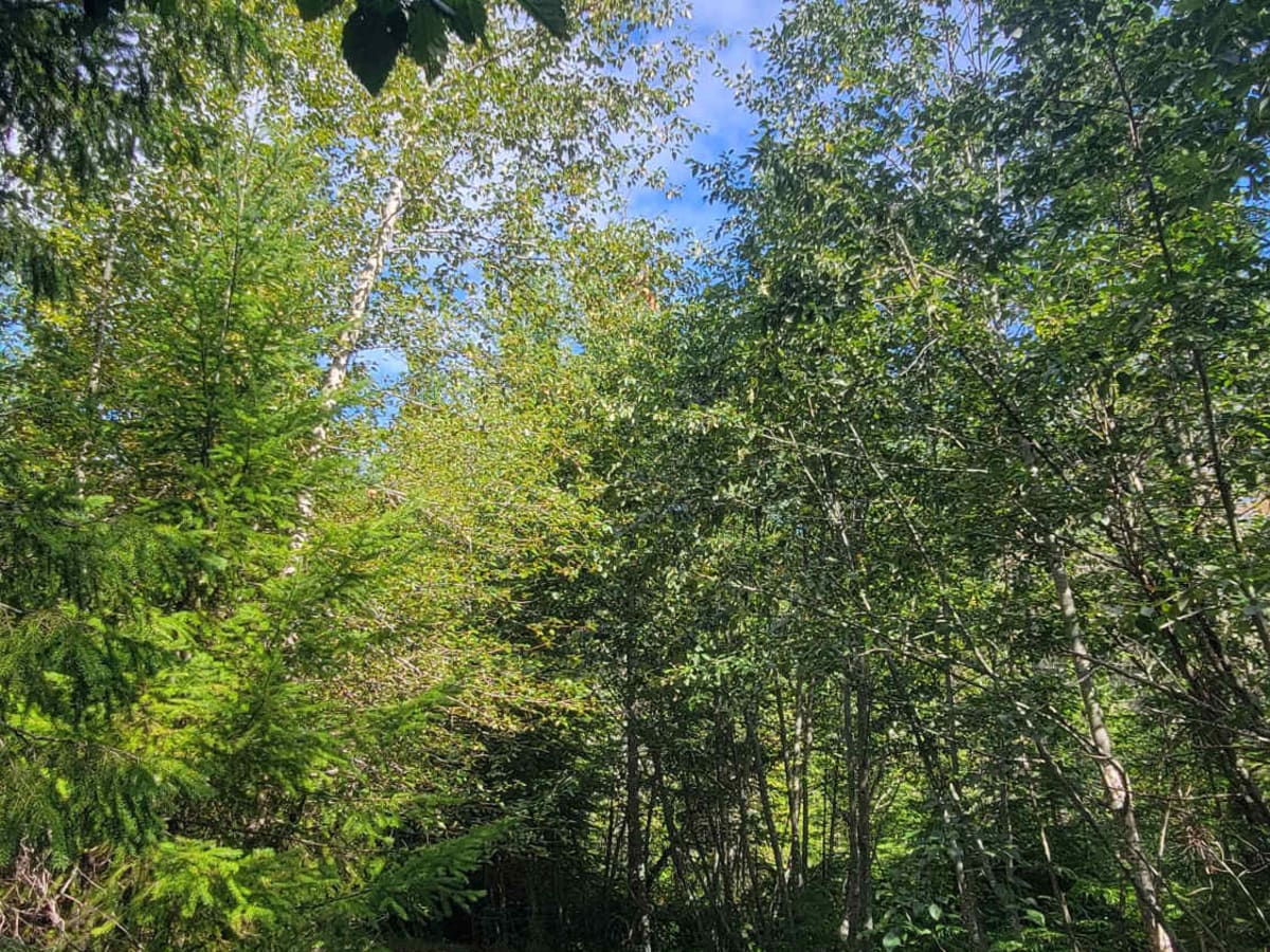 Basin trail photo