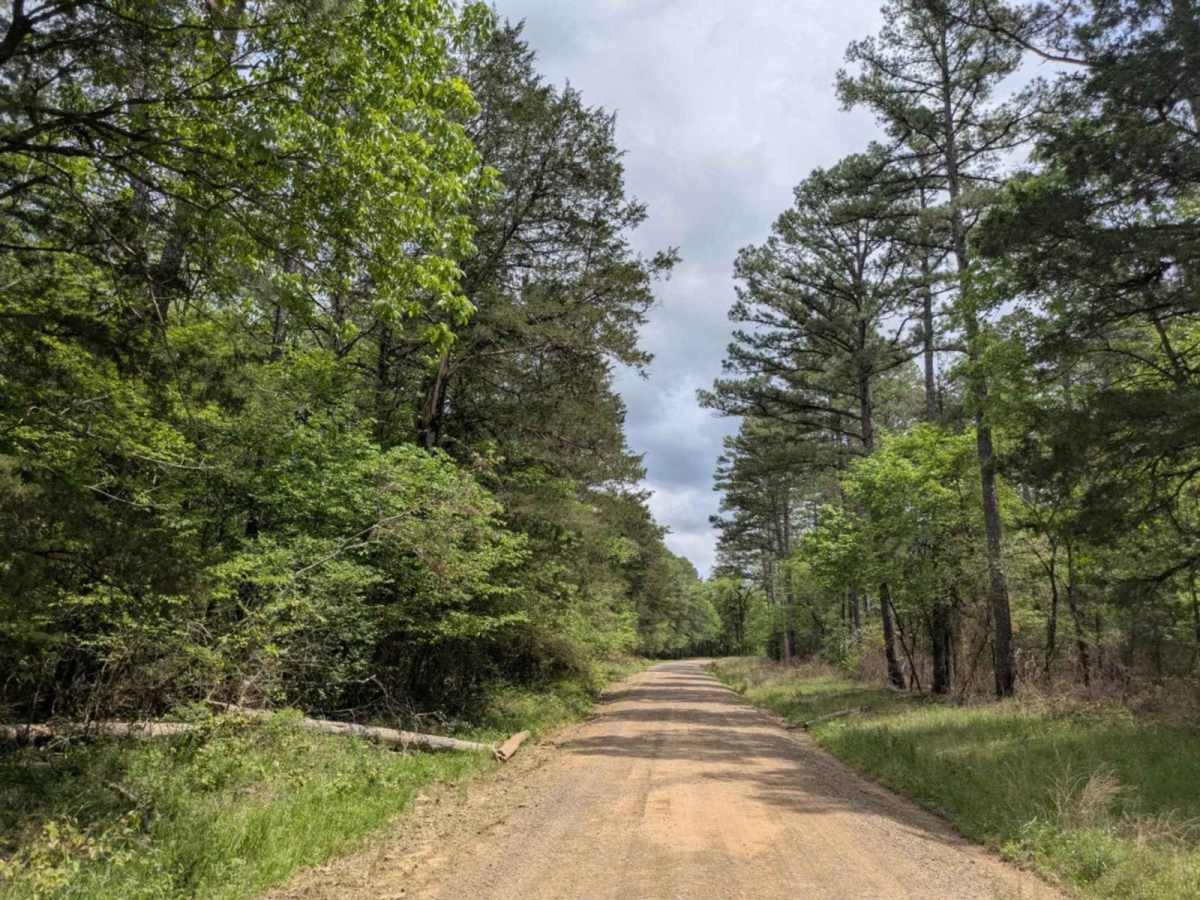 Spring Lake Access Road photo 4
