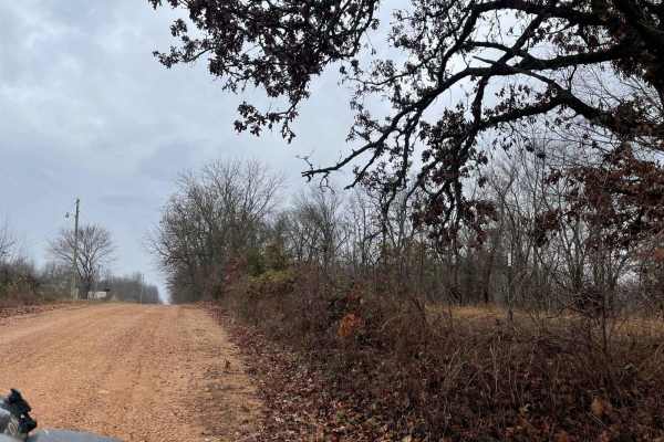 Ozark to Nettle