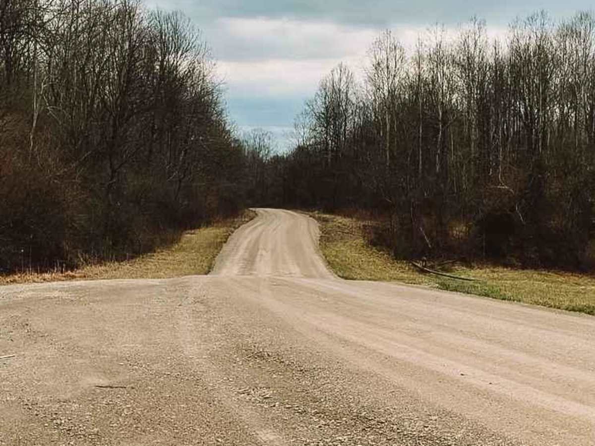 Horse Run Road photo 5