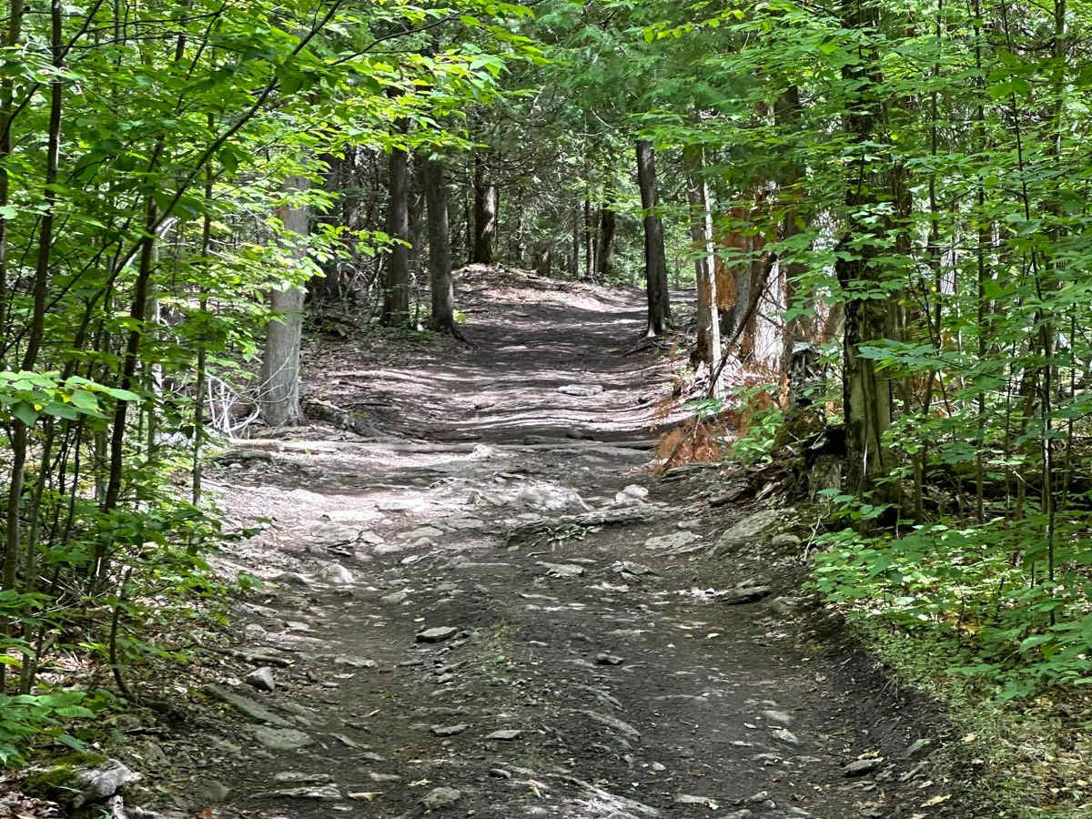 Grass Lake DD Loop photo 4