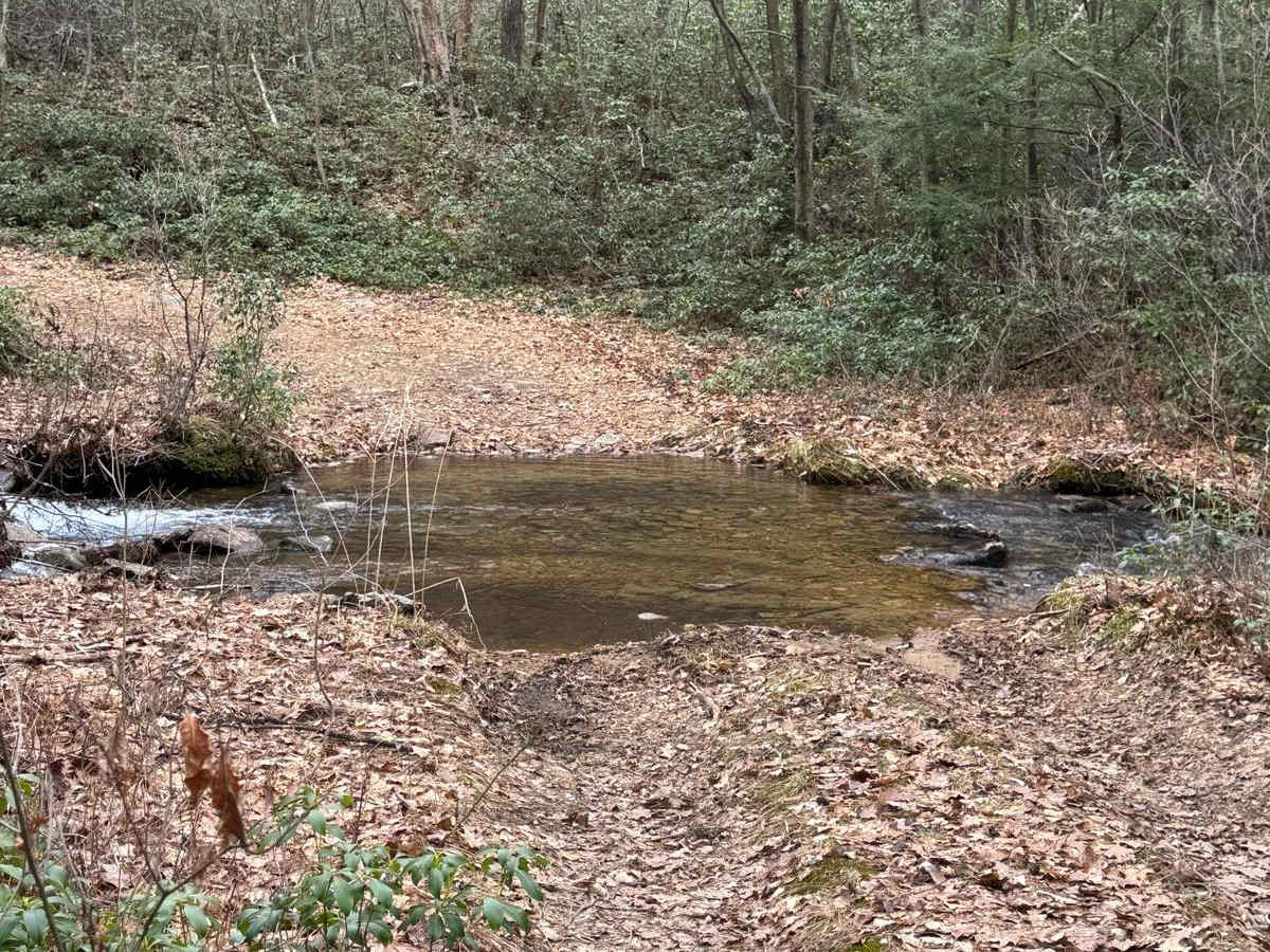Wolf Run Trail photo 6