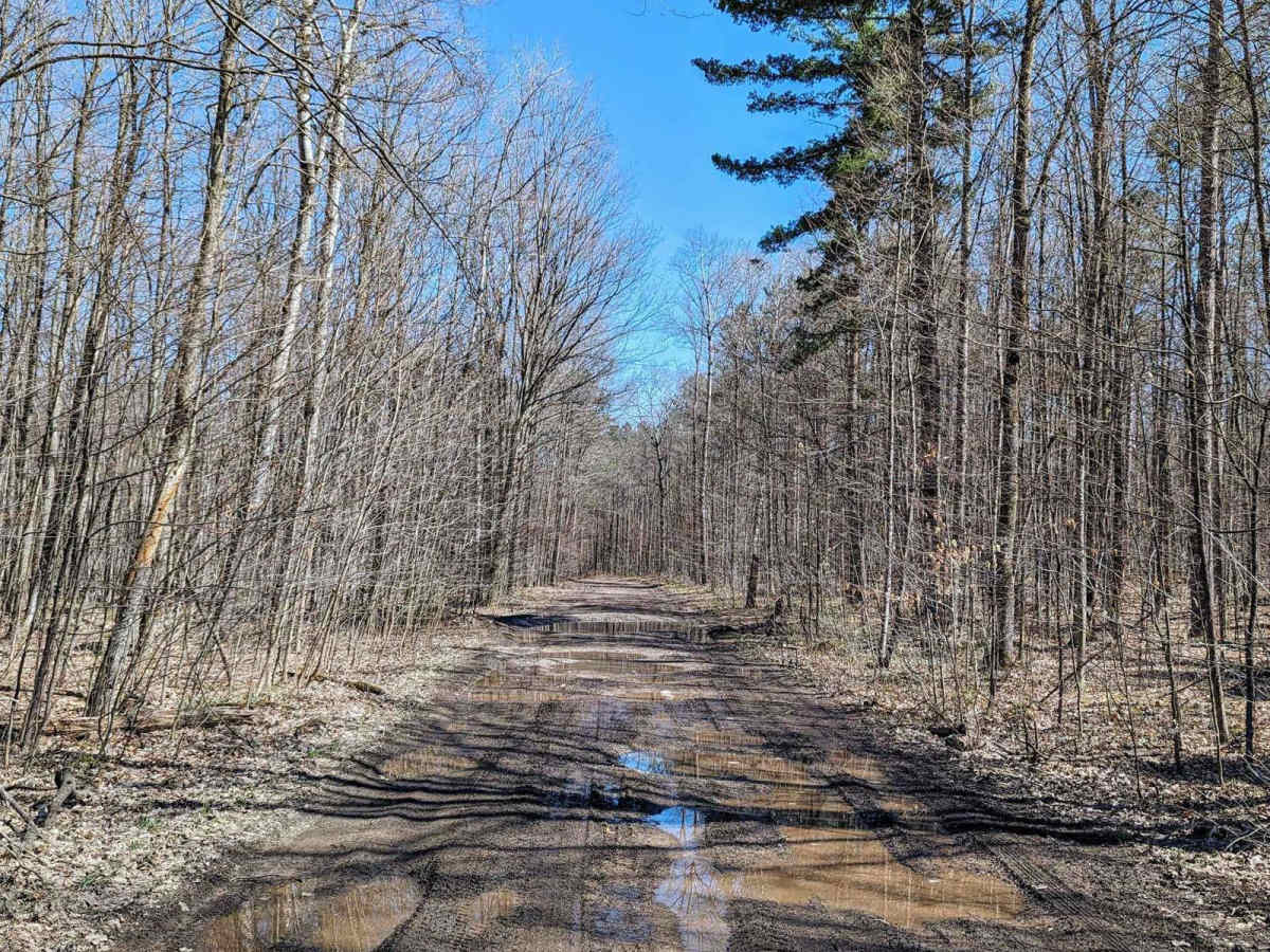 Perry Road photo 4
