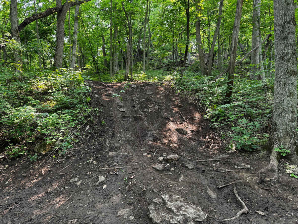 Yellow 127 trail photo
