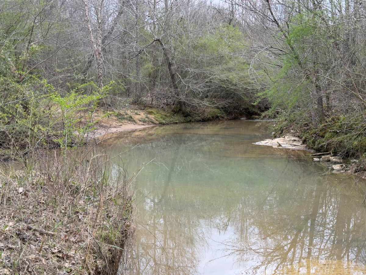 Creek Loop trail photo