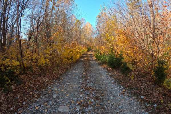 Expedition Trail