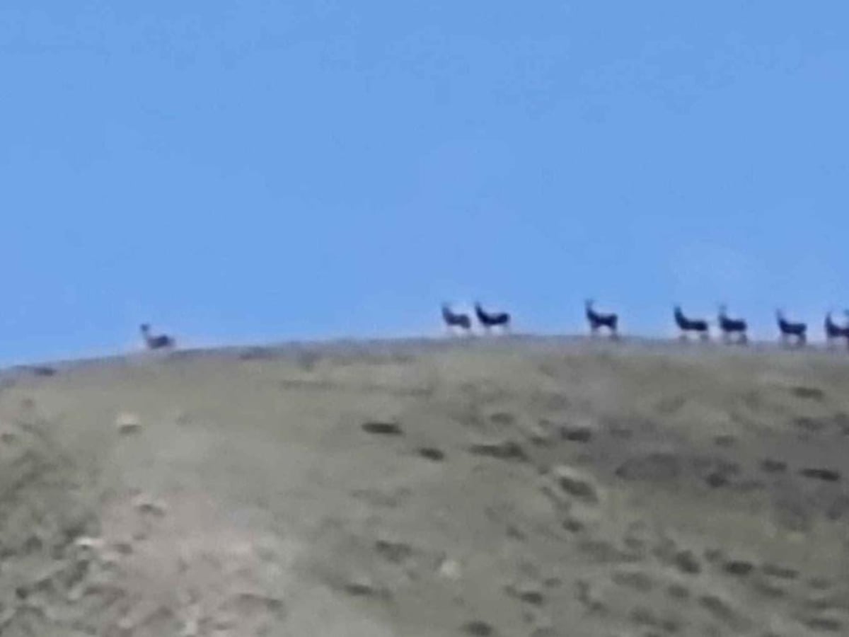 Arco Pass to Iron Creek photo 4