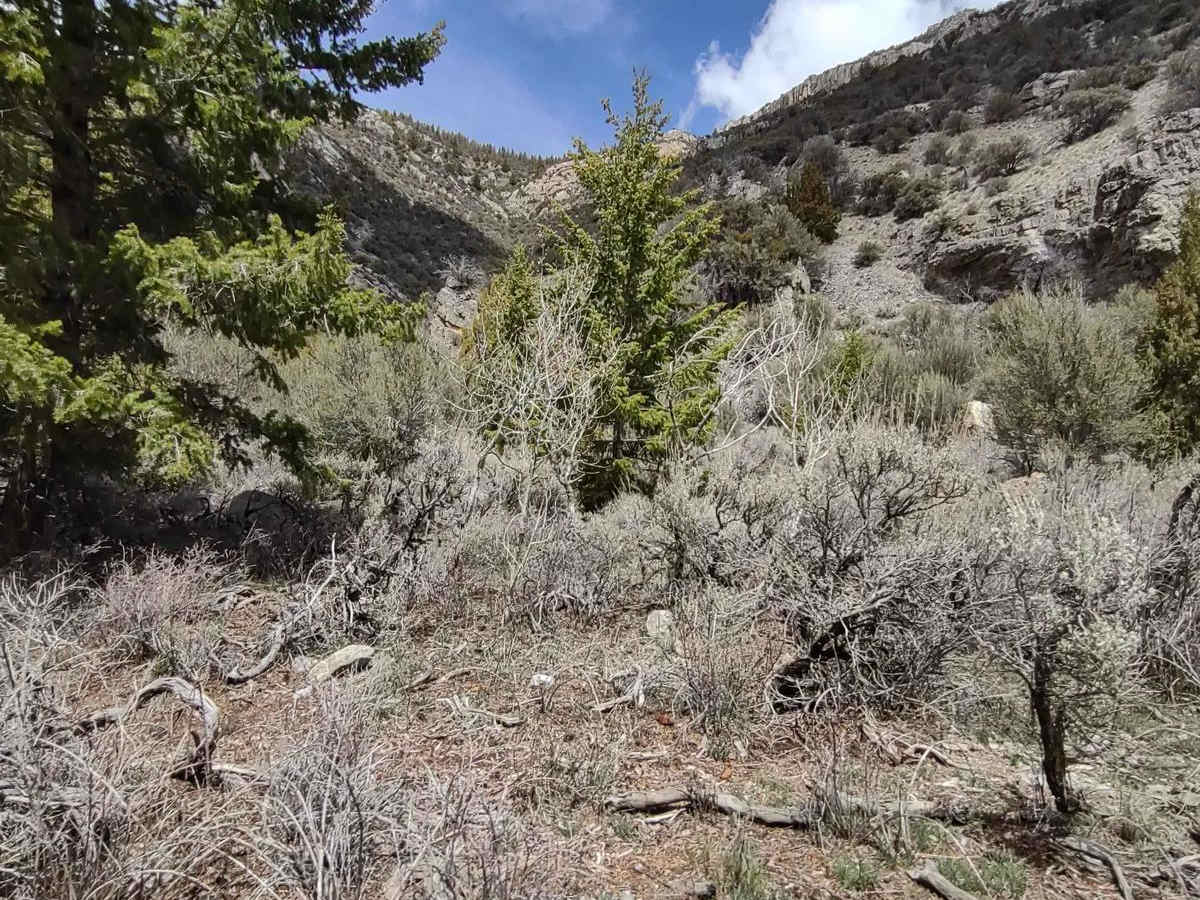 Wood Canyon to Arco Pass photo 4