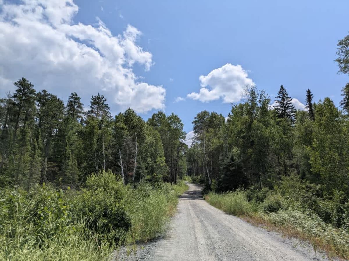Birch Lake Access Road photo 4