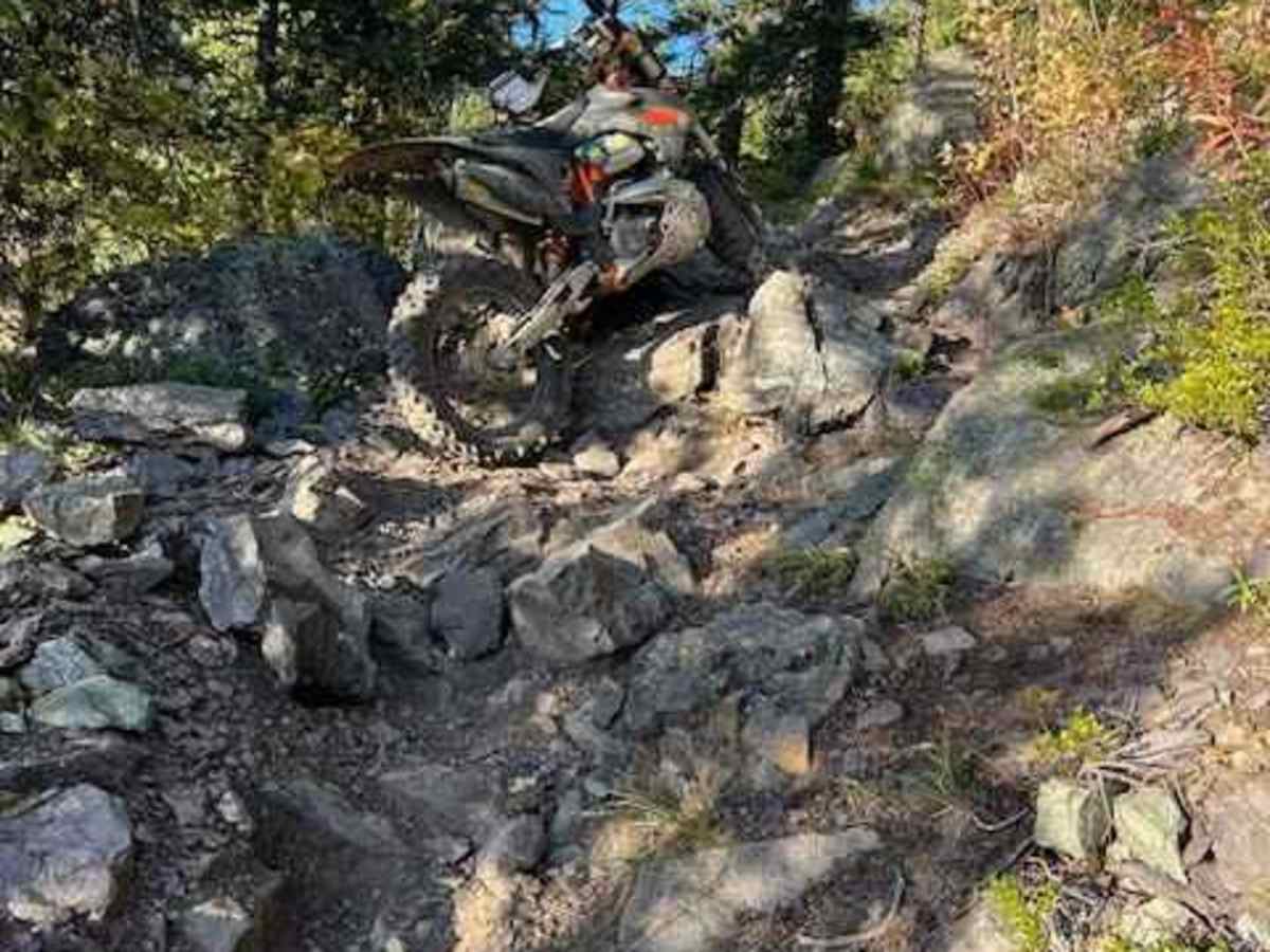 South Fork Hemler Creek photo 6