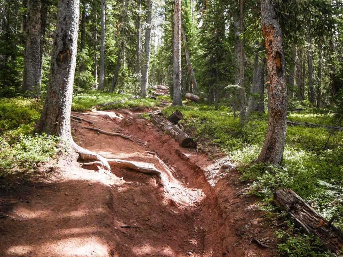 Teocalli Ridge trail photo