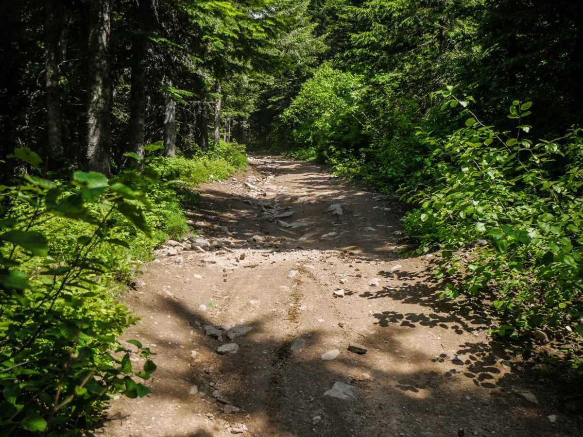 Beason Meadows ATV photo 6