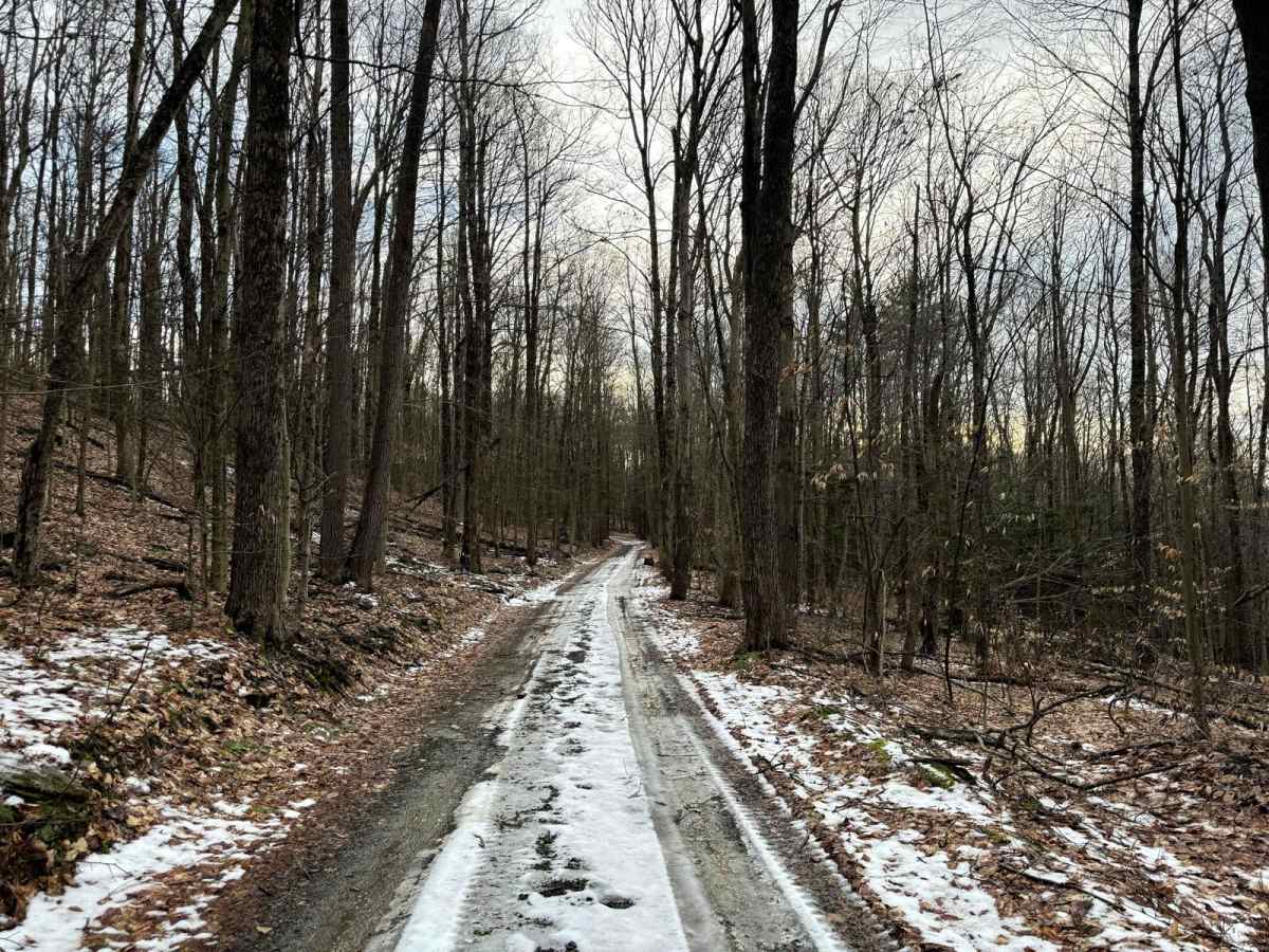 Brown Road photo 3