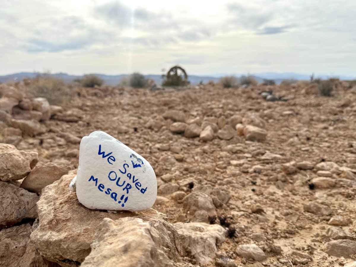 Mormon Mesa Rim photo 6