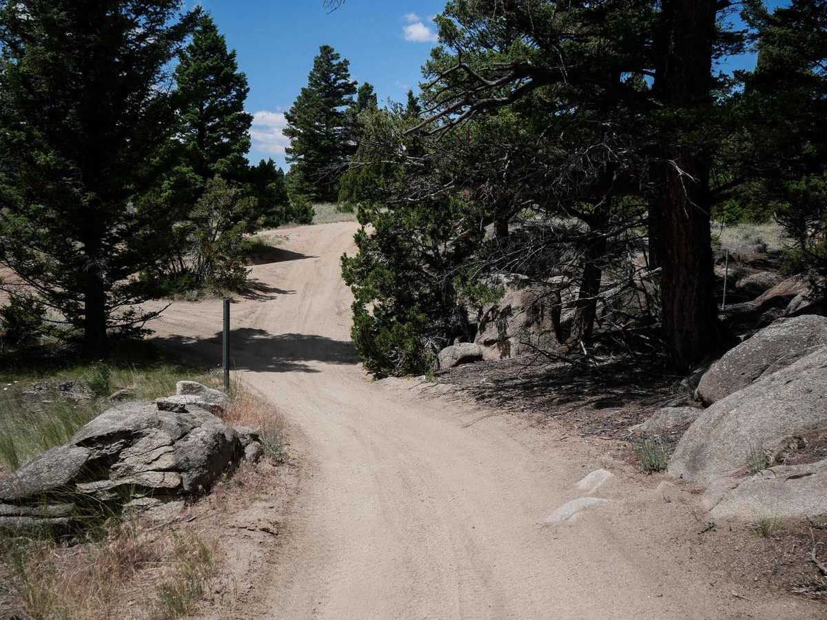 BLM 10 photo 3