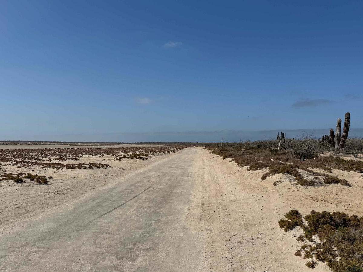 Landfill Road trail photo