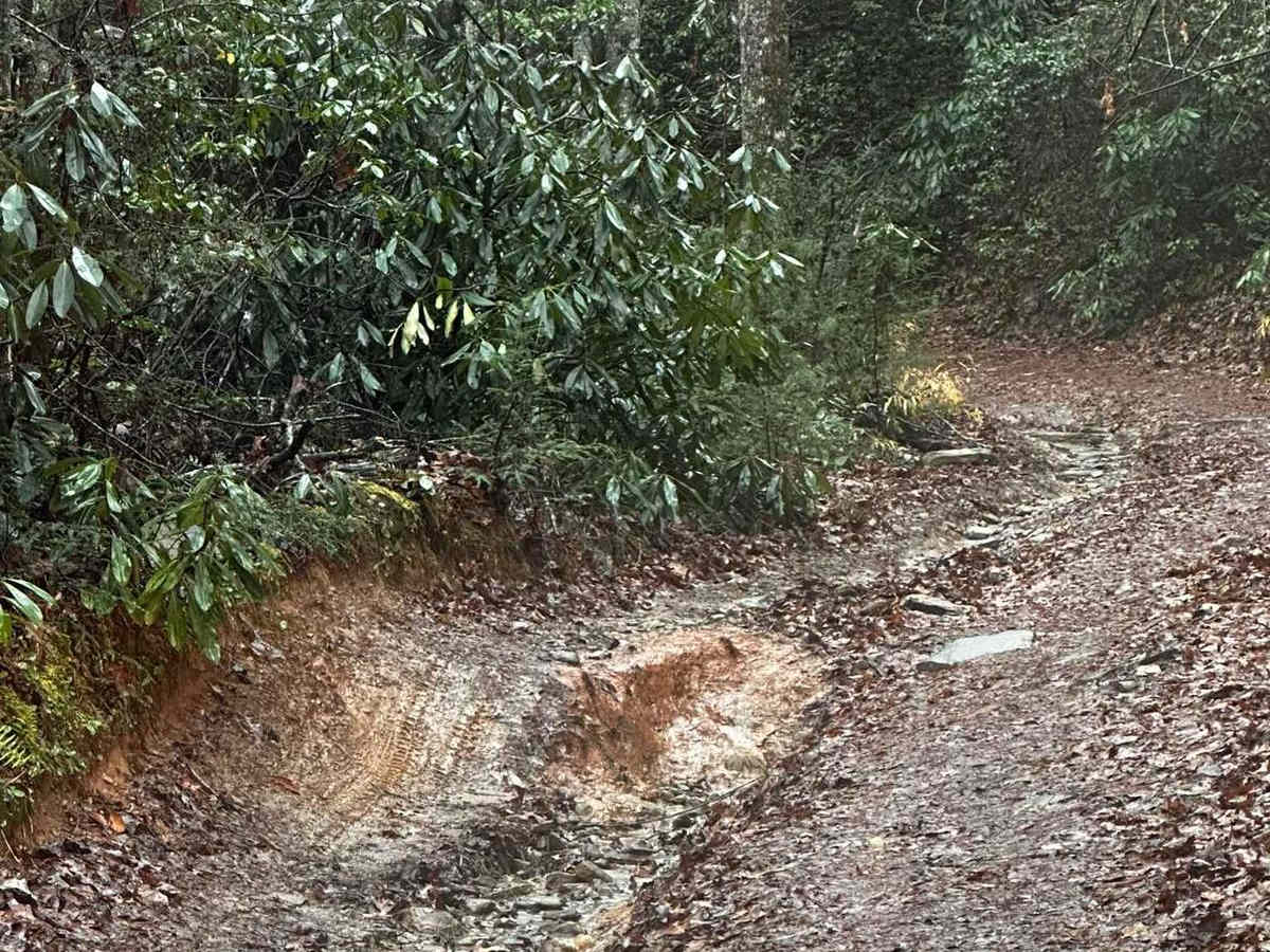 Falls Branch Road - FSR 2 photo 3
