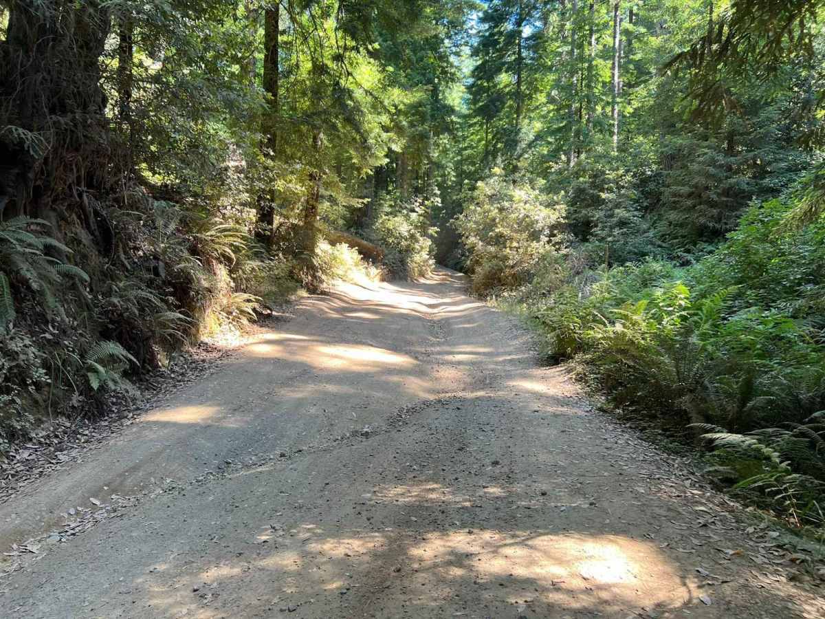 Usal Road (Southern Portion) photo 3
