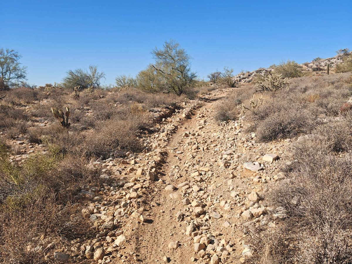 32137 - Single Track photo 5