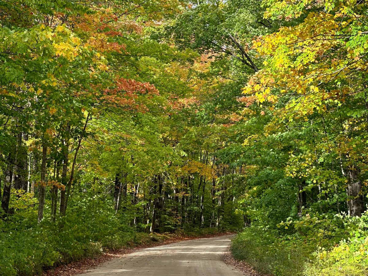 Rock River Road photo 3