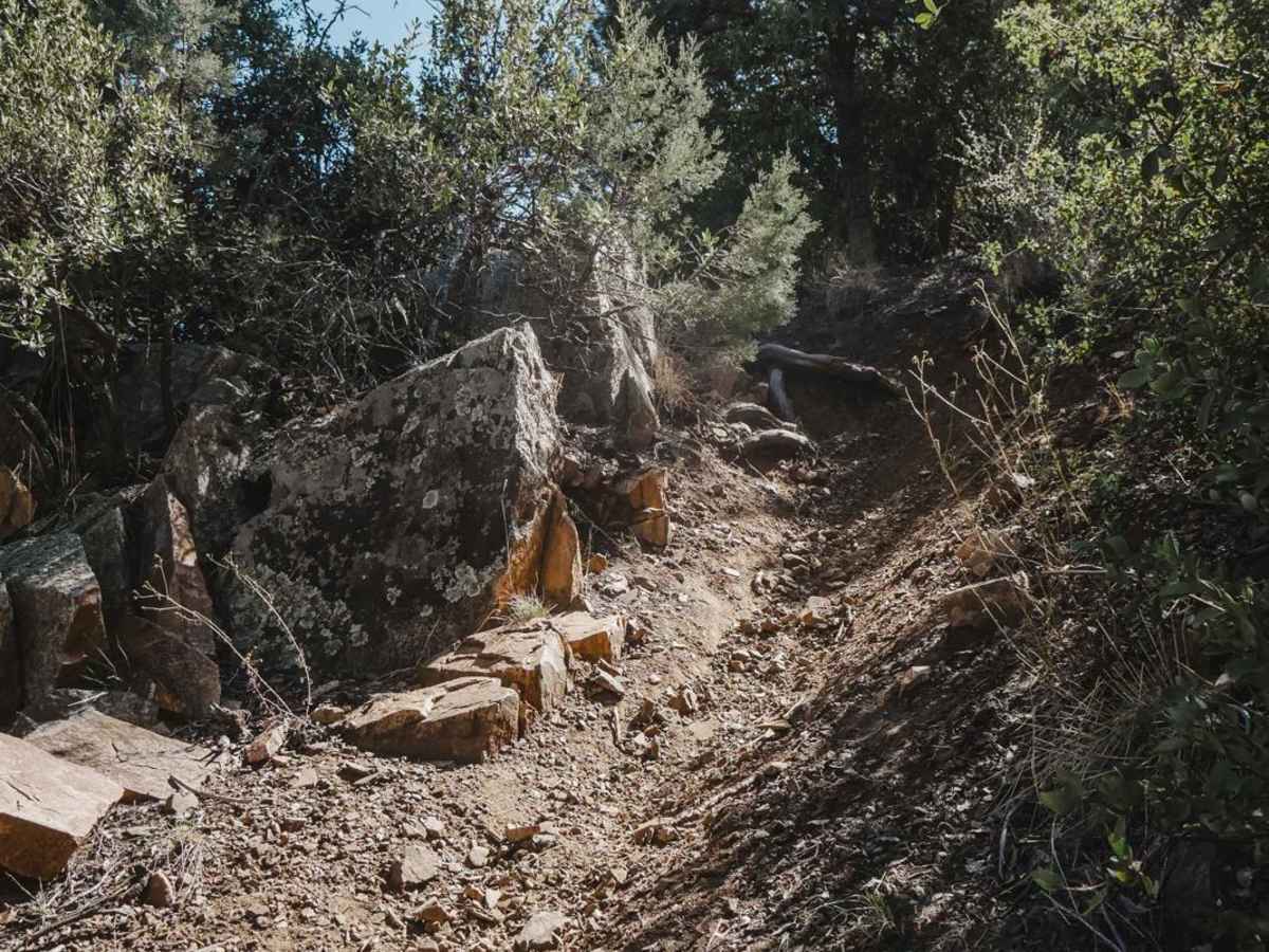 Red Mountain Trail photo 5