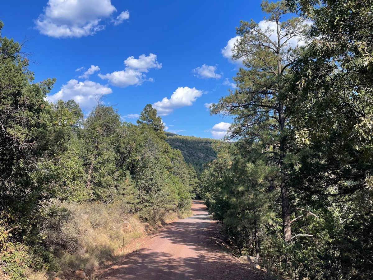 Stoneman Lake Access Road photo 6