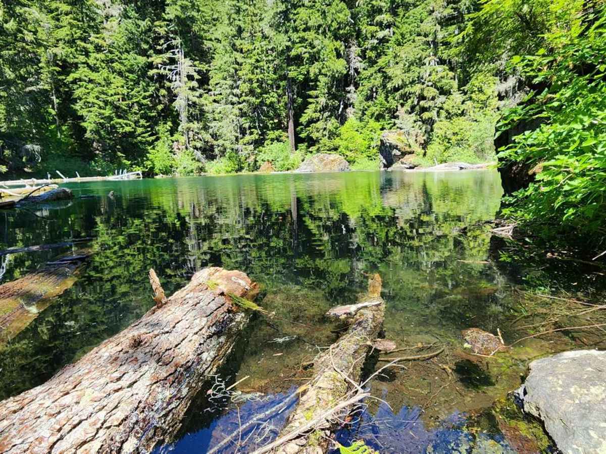 Goober Pond photo 3