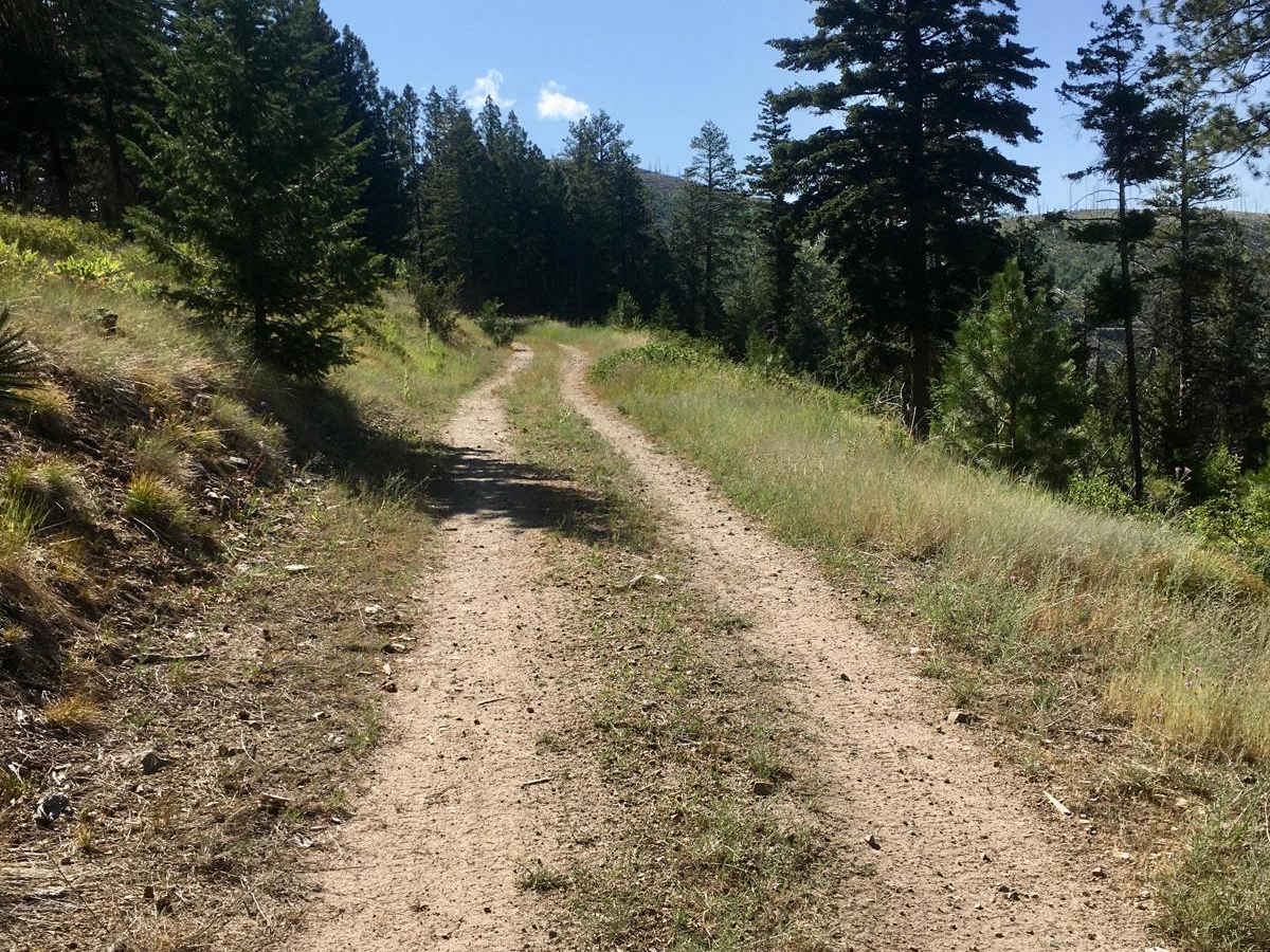 Blacktail Point Road photo 4