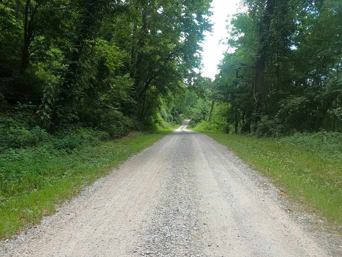 LaRue Road - FS 345 photo 3