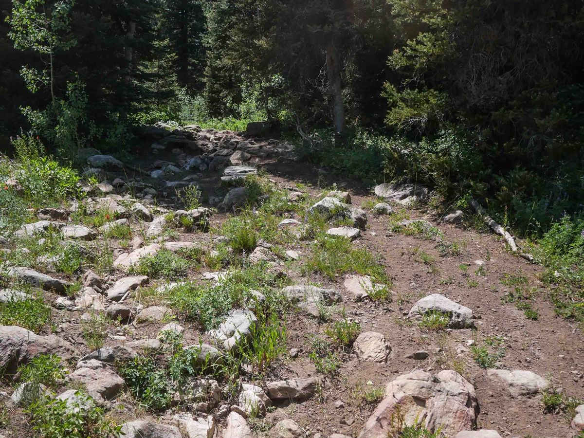Dry Fork #3329  photo 2