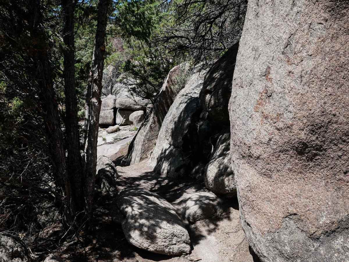 BLM 20 photo 5