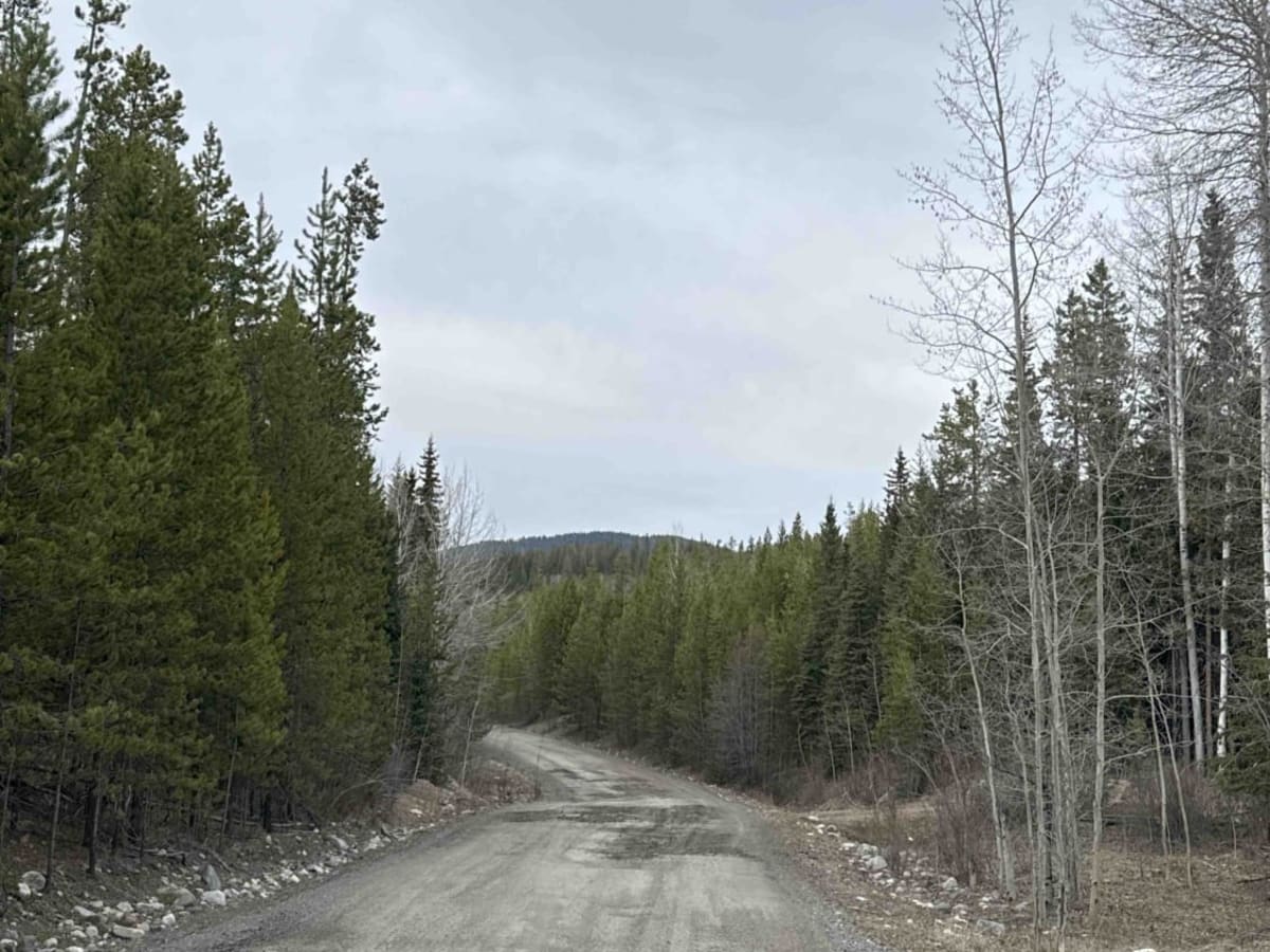 Shrimpton FSR to Buck Lake Recreation Site photo 2