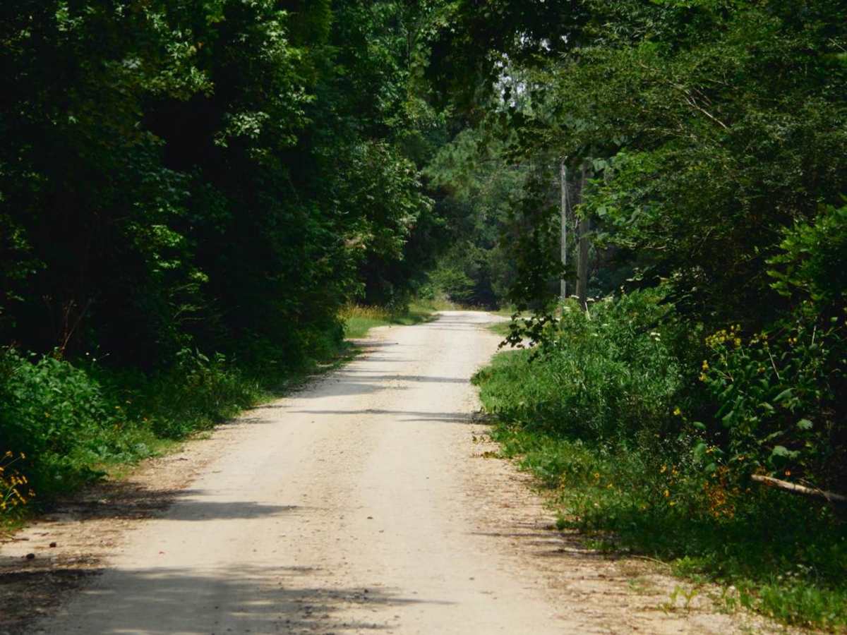 Guilliard Lake - FSR 150 trail photo