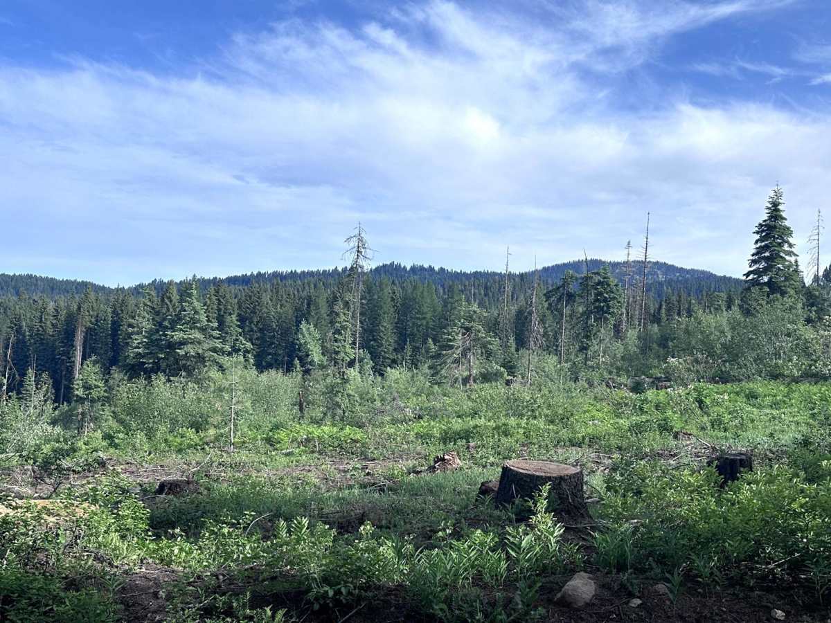 Brundage Mountain photo 6