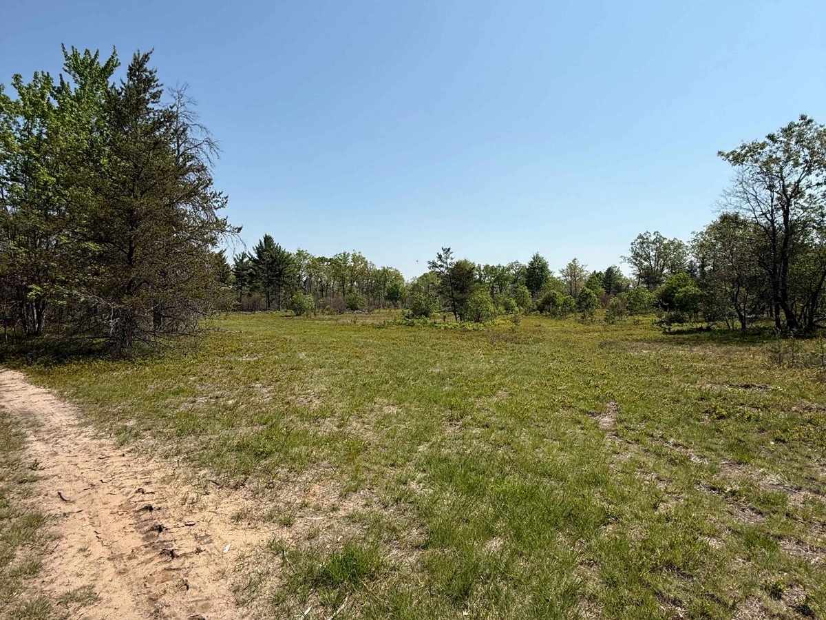 County Meadow Trail photo 6