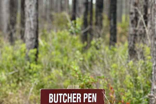 Butcher Pen Landing Road