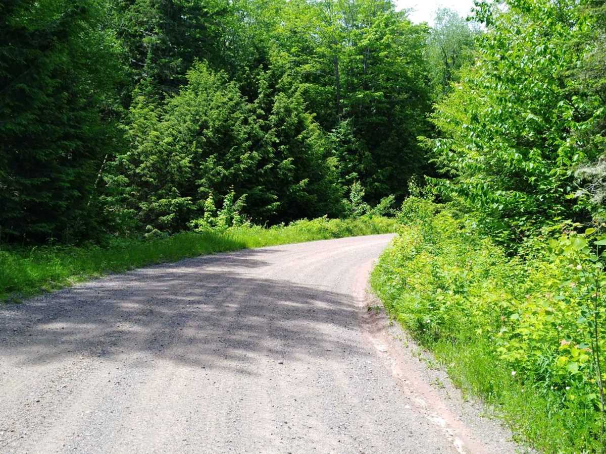 FDR 1300 / Markey Lake Road photo 4