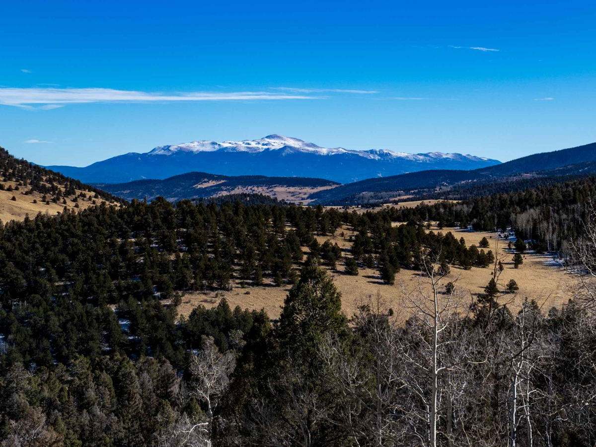 Eleven Mile Canyon Cutoff photo 4